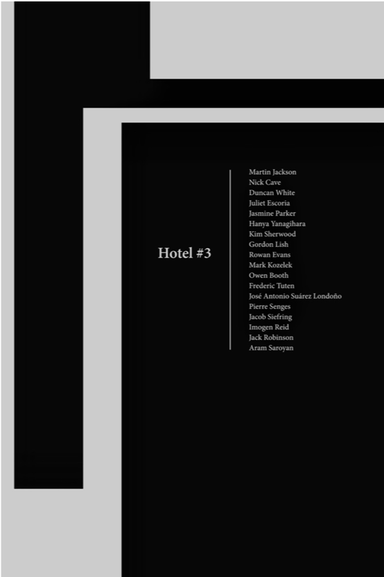 Poems from the project were published in Hotel magazine